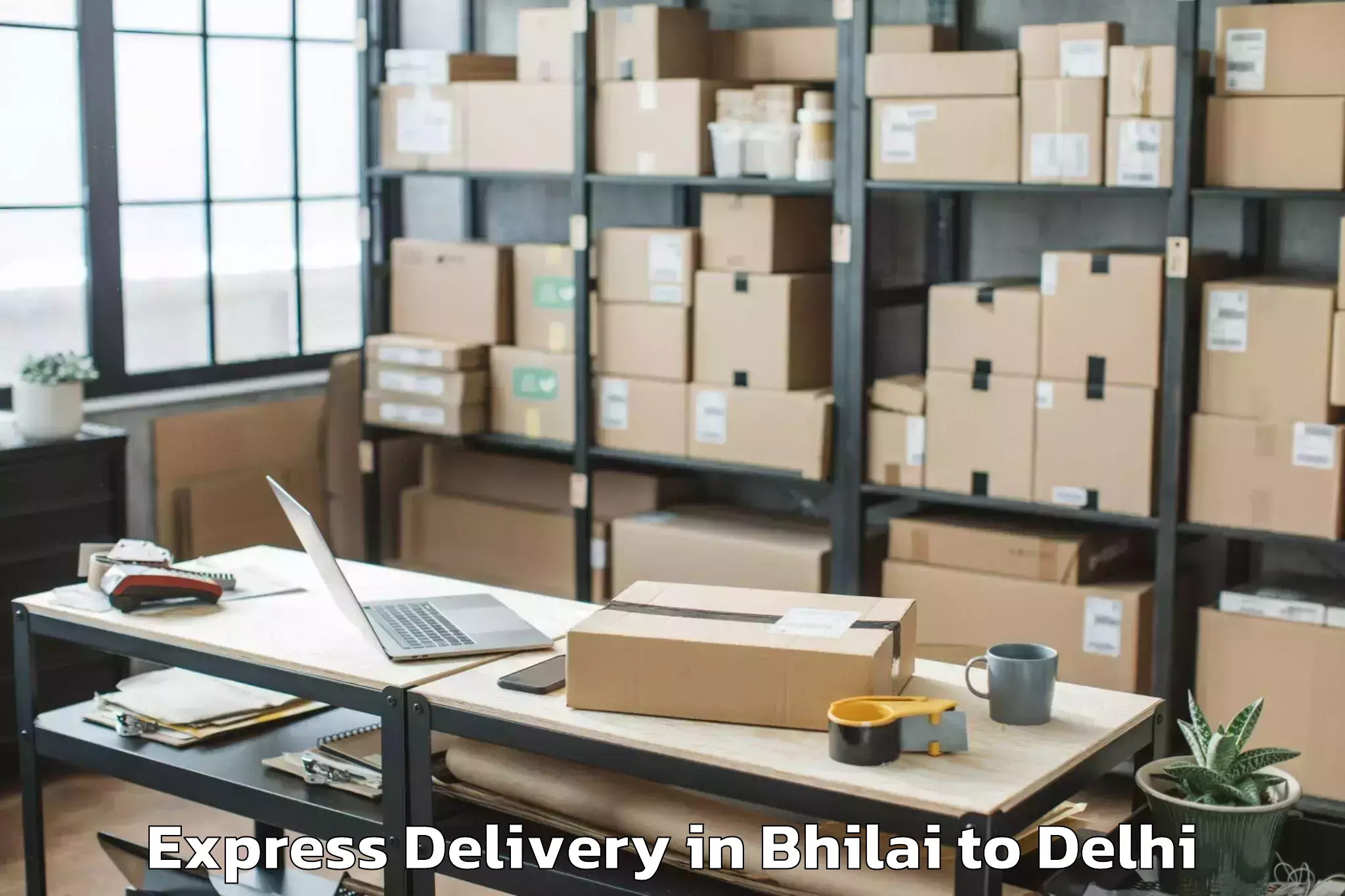 Get Bhilai to Naraina Industrial Estate Express Delivery